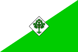 Bandera Lloret